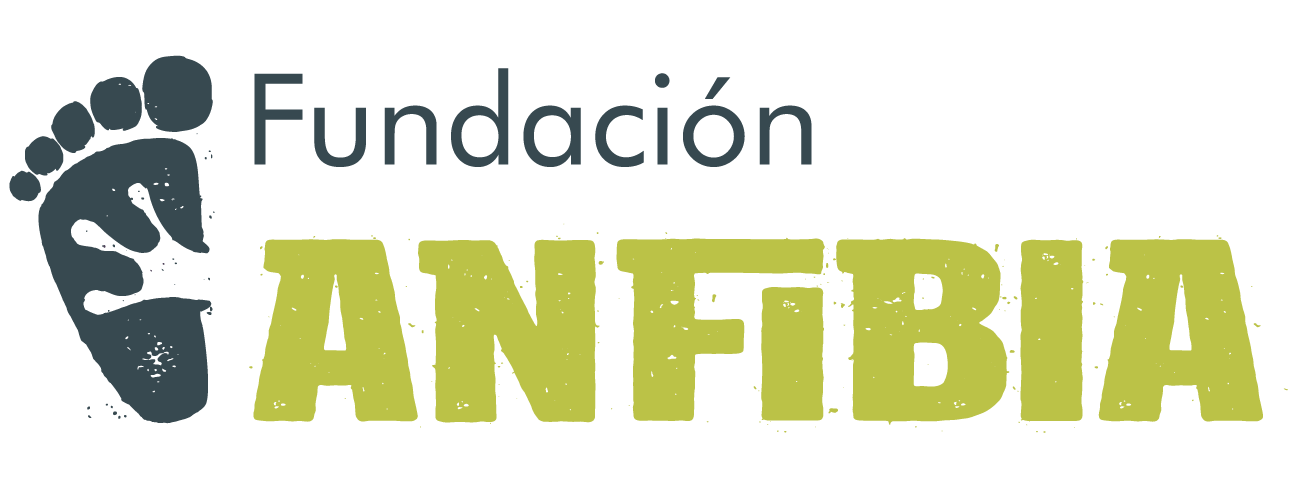 Fundación ANFIBIA